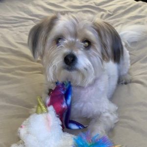 Meet your Posher, Perla